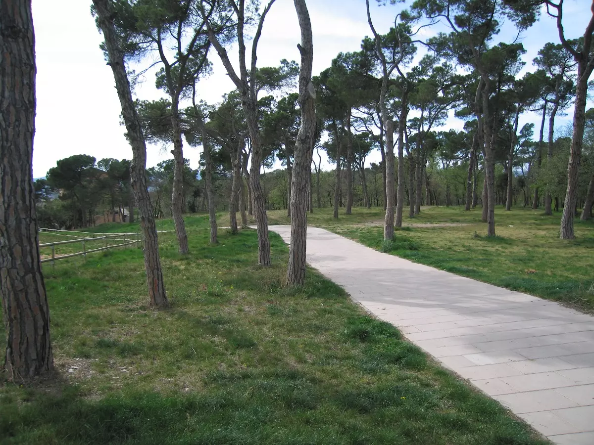 Mantenimiento de jardines y zonas verdes